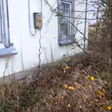 Продається не великий 2 кімнатний дерев’яний будинок на березі р.Десна