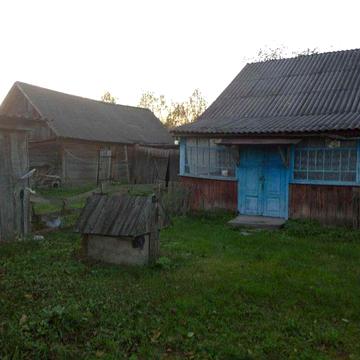 Продам будинок в с. Берегове (Мала Цвіля)