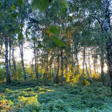 Нещерів, Обухівський, Київська область 170000.0 USD