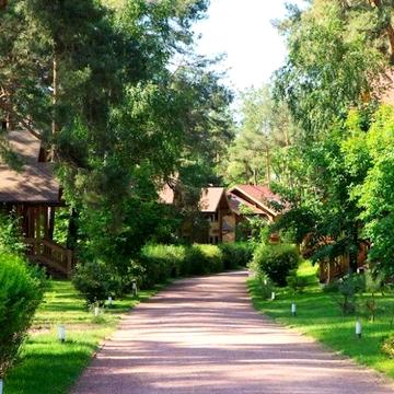 Лісова вул.