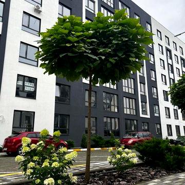 Готова квартира навпроти Бучанського парку - лише за $13 800!