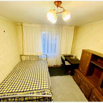 Лютневий пров.