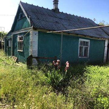 Участок с домом и хоз-постройками