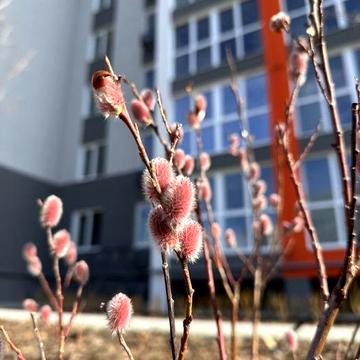 Новострой квартирЫ ЖК НЕЗАЛЕЖНІСТЬ