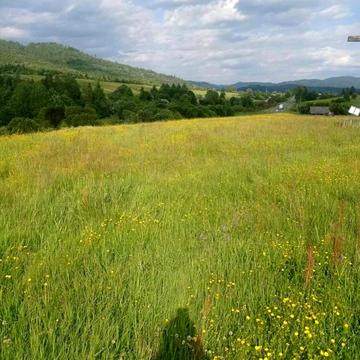 Плавя, Стрийський, Львівська область 150000.0 USD