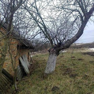 Продам хату ровенська обл. Остроський район с. Білашів