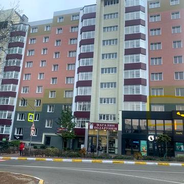 Олександра Саєнка вул., 11