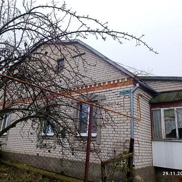 Будинок в с. Василівка