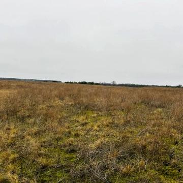 Броварська вул.