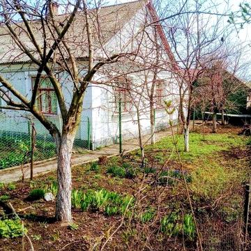 Частина будинку в смт Квасилів