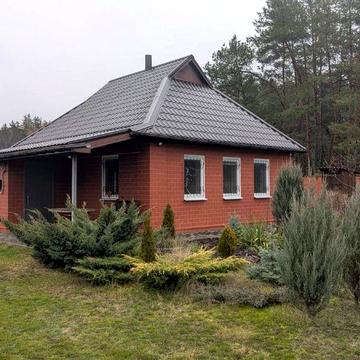 Затишний заміський будинок в сосновому лісі