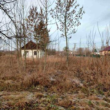 Будинок в центрі с. Бочаниця + 50 сот землі!!