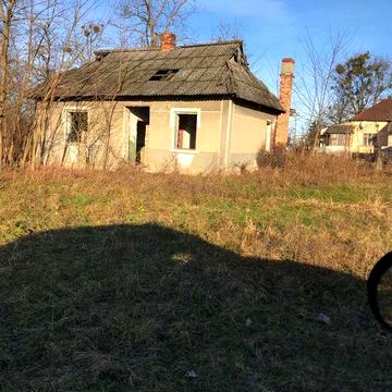 нерухомість столова