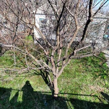 Продам дом у Днепра Таромское