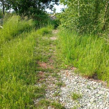 20 тис. - за все. дачу вагончик в Києві ( зем.діляNкy)  Продам. Жуляни