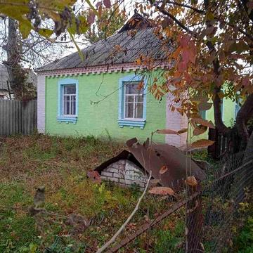 Будинок в селі Митниця Київська обл