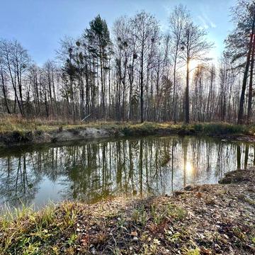 Продам будинок з озером біля лісу! 120 м2! Здвижівка!