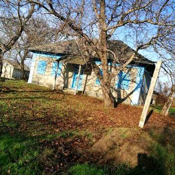 Продам будинок з великим шматком землі