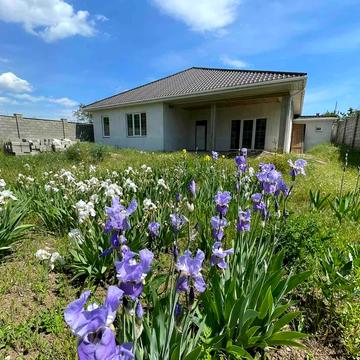 Институт Таирова