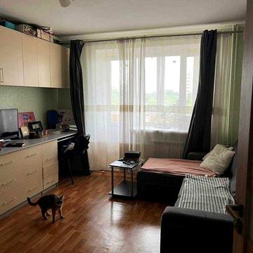 Оренда квартири. Квартира. Житло