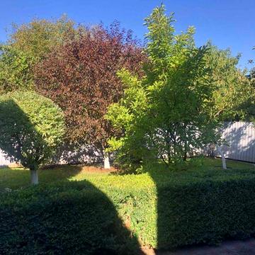 Рожни, продаж домоволодіння