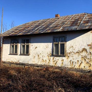 Будинок садибного типу