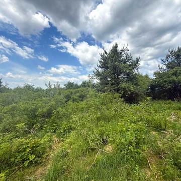 Великі лази, Ужгородський, Закарпатська область 10000.0 USD