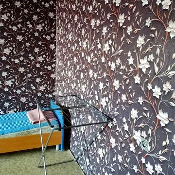 Здам однокімнатну 3000. Камянське, проспект Аношкіна, 9. 5 поверх