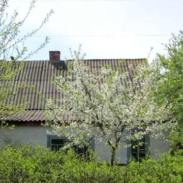 Продаю 1/2ДОМА Пгт ДМИТРОВКА(ЦЕНТР)60м2 ЖД Вокзал,Школа,Садик.Больница