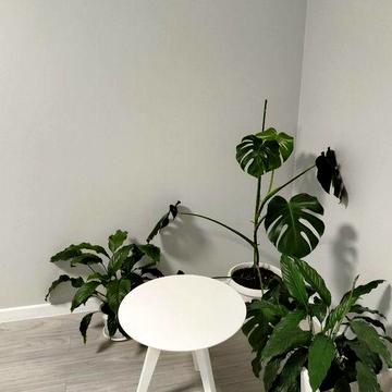 Здам в оренду ЖК Домбровський