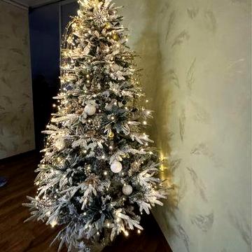 Оренда просторого будинку 2 км від Ужгорода