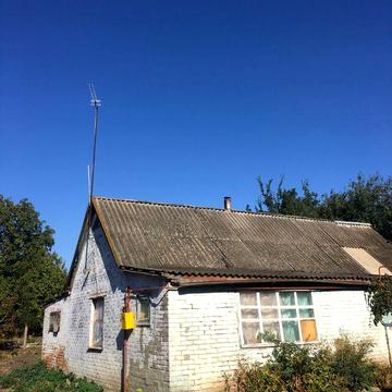 Здам будинок в оренду  Диканька