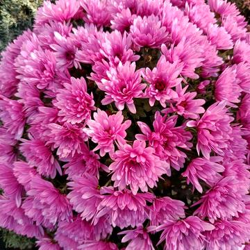 продам квартиру от хозяина ЖК таирова