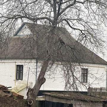 Продам будинок в селі Шкарівка