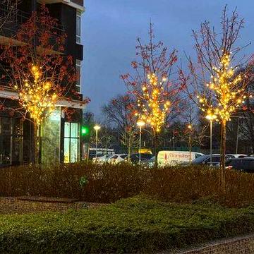 1к квартира для Студента. Топ вибір для першого житла