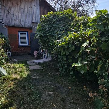 Саєнка вул., 44