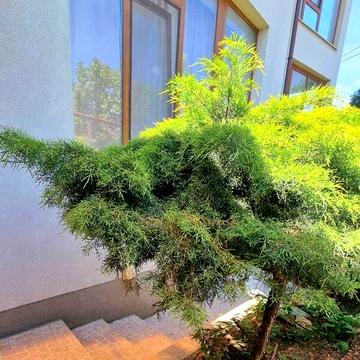 Довгострокова оренда 1к Квартира Котляревського вулиця