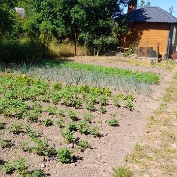 Продається дача(деревяний буд.30кв.м.)та 4сот.зем.в Іван.-Фр.13500дол