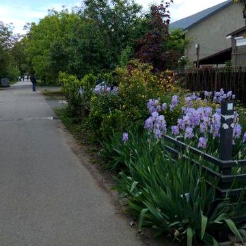 1 ком Богдана Хмельницкого  с балконом.