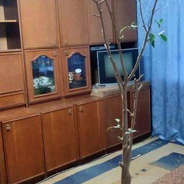 с 30.12 Аренда 1 ком.кв. ул.  Европейская