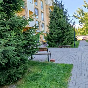 Печерська вул., 24