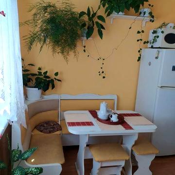 Здам 2 кімнатну квартиру на Попова