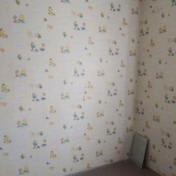 Продам двухкомнатную квартиру с.Прибужжя