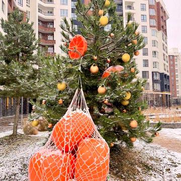 2к Квартира Синергія Сіті, напряму Від Забудовника, Єоселя під 2% ЖК Синергія сіті