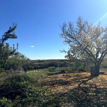 Продам дачу с домиком