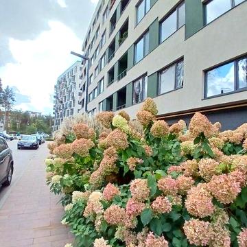 Продам квартиру  в Гостомелі ЖК Парк Таун ЖК Парк таун