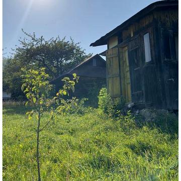 Ділянка с. Лоєва будинок хата земля біля лісу гори дача