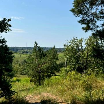 Віталія Васільцева, 1