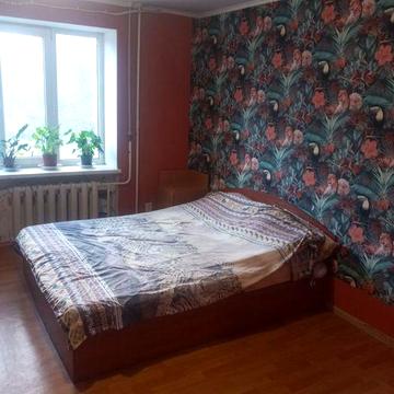 Пионерская . Район парка Победы и Юридической академии. Можно с кошкой