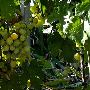 Продаж 5к Дім Короленка вулиця